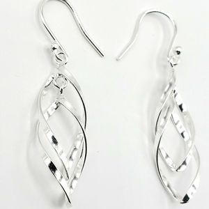 Twisted Dangle Hook Earrings